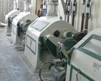 Dhansri Roller Flour Mills